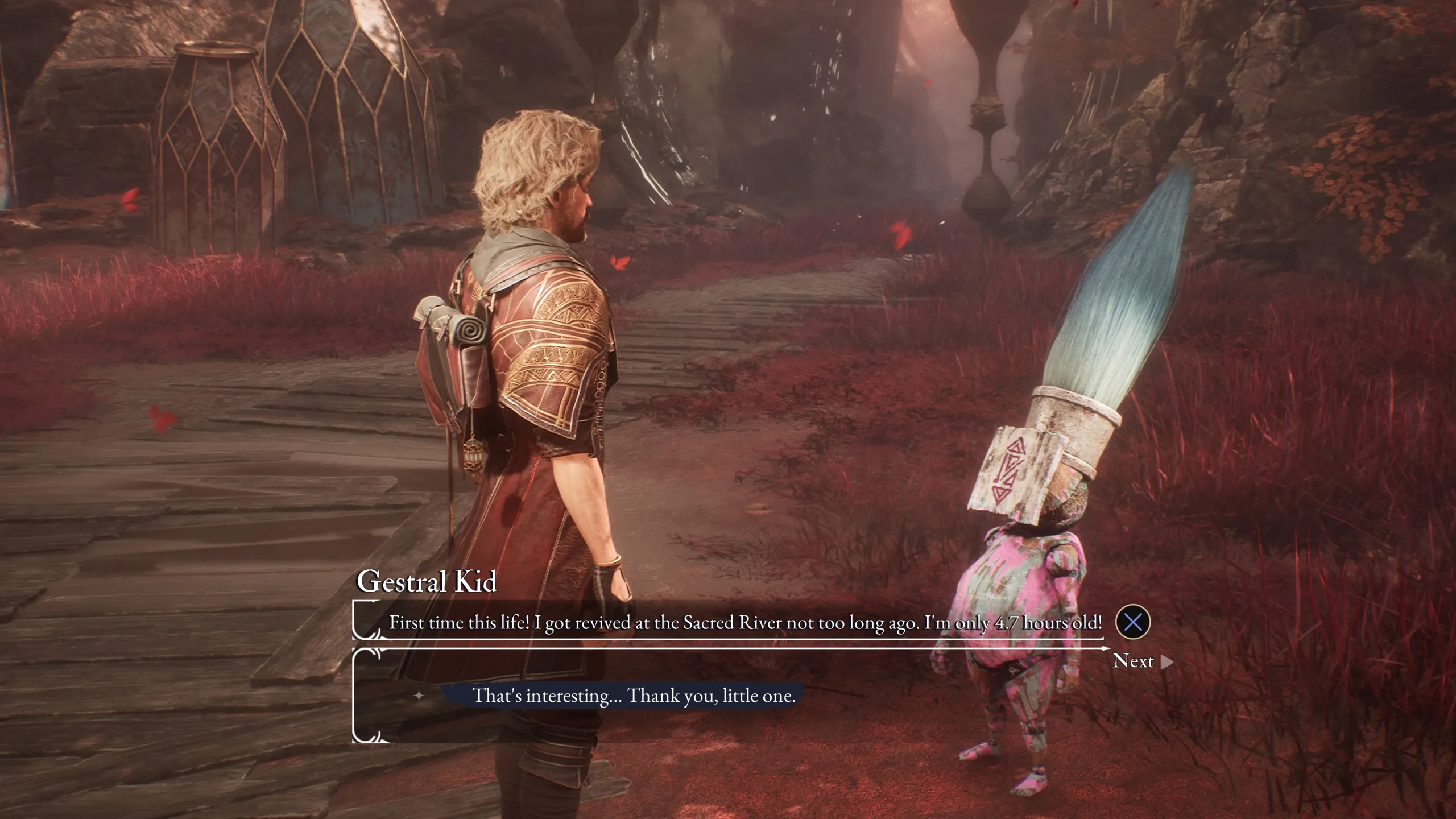 Gestrale są jednymi z najzabawniejszych istot na całym Kontynencie. Archiwum prywatne.