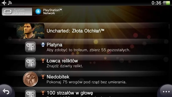 Sekcja trofeów na koncie PlayStation Network. Grafika prywatna.